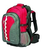 Kelty KIDS Transit 2.0 Child Carrier (Red/Charcoal)