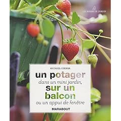 Un potager dans un mini jardin sur un balcon ou un appui de fen�tre