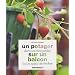 Un potager dans un mini jardin sur un balcon ou un appui de fen�tre