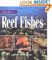 Reef Fishes: A Guide to Their Identification, Behavior, and Captive Care - Volume 1: Vol 1