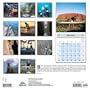 Extreme Ironing, 2005 Calendar