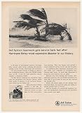 1965 Hurricane Betsy Bell Telephone Service Photo Print Ad
