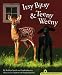 Itsy Bitsy & Teeny Weeny (Hazel Ridge Farm Stories)