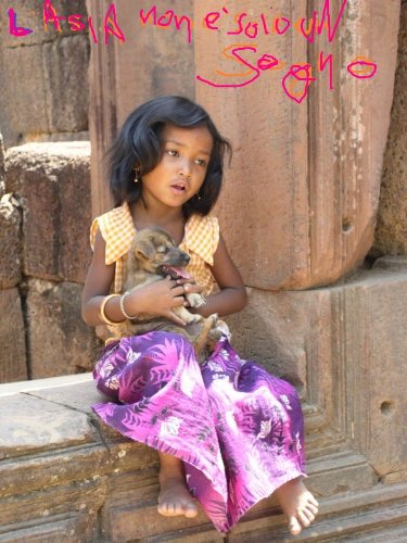 l'Asia non è solo un sogno (Italian Edition)