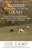HORSES WERE BORN TO BE ON GRASS - How We Discovered the Simple But Undeniable Truth About Grass, Sugar, Equine Diet, & Lifestyle (eBook Nuggets from The Soul of a Horse)