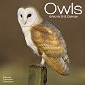 Kalender 2012 Eulen - Eule - Owls