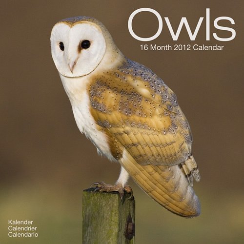 Owls 2012 Wall Calendar #30134-12