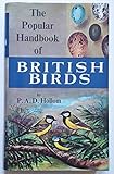 The popular handbook of British birds