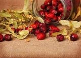 Rose Hips and Lime Blossom - 60"W x 43"H - Peel and Stick Wall Decal by Wallmonkeys