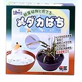 ���i�̏ڍ�