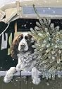 Bringing Home the Tree English Springer Spaniel Eco Christmas Cards Pack