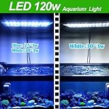 IMAGE OF Aquarium Coral Reef Tank White Blue LED Lamb Grow Light 120W-provide light that have the same effect as natural sunlight and hence offers a very good growing habitat for green aquatic seaweeds corals fish etc