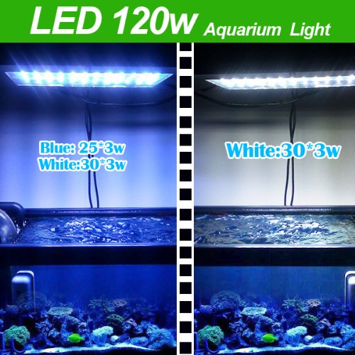 Aquarium Coral Reef Tank White Blue LED Lamb Grow Light 120W-provide light that have the same effect as natural sunlight and hence offers a very good growing habitat for green aquatic seaweeds corals fish etc