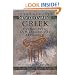 Intermediate New Testament Greek: A Linguistic and Exegetical Approach