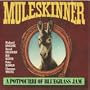 Potpourri of Bluegrass Jam