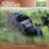 Discovery Channel Endangered Species 2009 Calendar -Square Wall