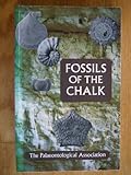 Fossils of the chalk