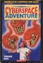 Cyberspace Adventure (Chronicles of a Computer Game Addict)