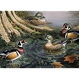wood ducks puzzle