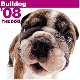 Bulldog 2008 Square Wall Calendar