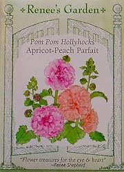Hollyhocks April Peach Parfait Seeds 40 Seeds