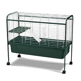 Super Pet Welcome Home 42-Inch Large Rabbit Hutch, Green