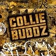Collie Buddz