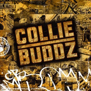 CD-Charts  Music : Collie Buddz: Parental Advisory