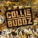 Collie Buddz