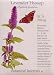 Lavender Hyssop Heirloom Seeds 125 Seeds