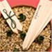 10cm(4) Wooden Labels & Wires x15
