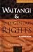 Waitangi & Indigenous Rights: Revolution, Law & Legitimation