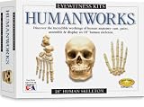 Eyewitness Kit: Humanworks
