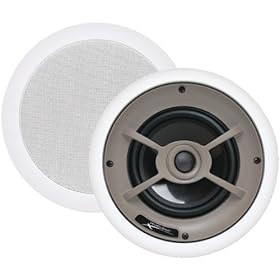 proficient speakers ceiling