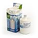 LG replacement water filter LT500P, 5231JA2002-A, 5231JA2002, 5231JA2002A-S 100% recyclable, and made in U.S.A. and Canada SGF-LA22 (2 Pack)