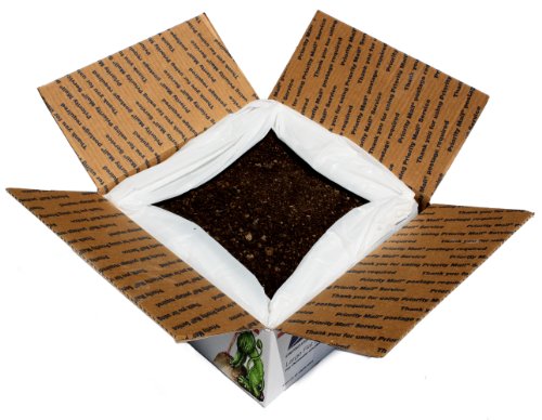 100% Pure Organic Worm Castings (17 Lb). Water-soluble Plant Food Nutrients. Natural, Non-toxic Soil Conditioner, Germination, Rich Liquid Fertilizer. Red Wigglers Earthworm Vermicompost, Vermicast, Vermiculture, Humus, Manure. For Indoor Outdoor Use100% Pure Organic Worm Castings (17 Lb). Water-soluble Plant Food Nutrients. Natural, Non-toxic Soil Conditioner, Germination, Rich Liquid Fertilizer. Red Wigglers Earthworm Vermicompost, Vermicast, Vermiculture, Humus, Manure. For Indoor Outdoor Use
