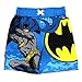 DC Comics Boys 2T-4T Batman Swim Trunk