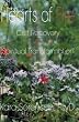 Hearts of Fire: Cult Recovery And Spiritual Transformation