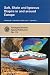 Book Salt, Shale and Igneous Diapirs in and Around Europe (Geological Society Special Publication)