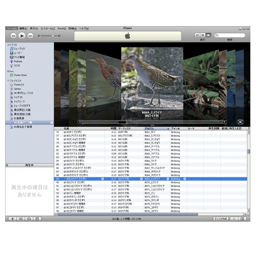 Cover image : Birdsong for iPod