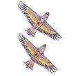 eagle kite