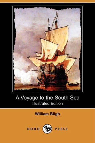 A Voyage to the South Sea