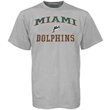 Miami Dolphins Ash Heart and Soul T-shirt
