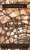 Life Abundant: Rethinking Theology and Economy for a Planet in Peril (Searching for a New Framework)