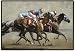 LONG SHOT HORSES DOORMAT by Adeline Halvorson