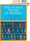 The Human Figure in Motion (Dover Anatomy for Artists)