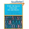 The Human Figure in Motion