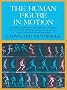 The Human Figure in Motion