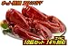 ぷりっぷり！ジューシー特大活アメリカ東海岸産 ロブスター（オマール海老[エビ]）450g×10尾セット