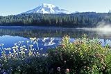 Mt. Rainier and Reflection Lake, Mt Rainier National Park, Washington State, Usa - 60